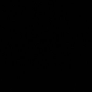 Meet your Posher, Elena